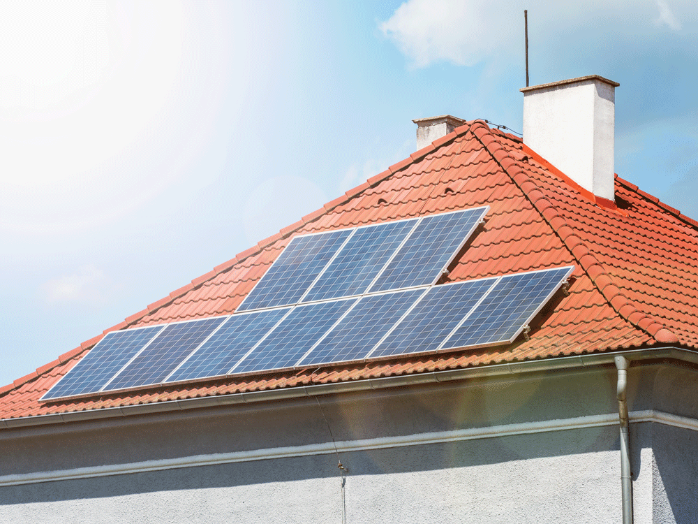 solar panel popularity
